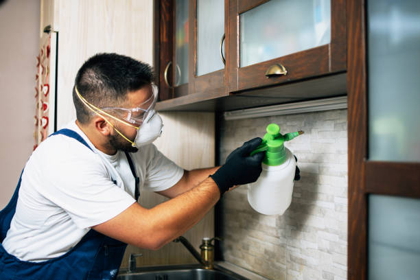Best Pest Control Treatment  in Cedarburg, WI