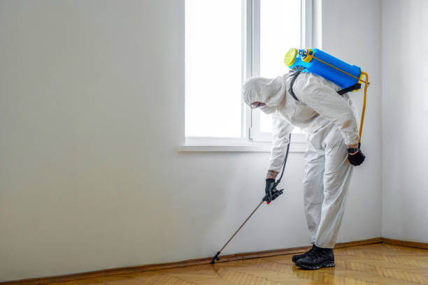 Best Mosquito Control Services  in Cedarburg, WI