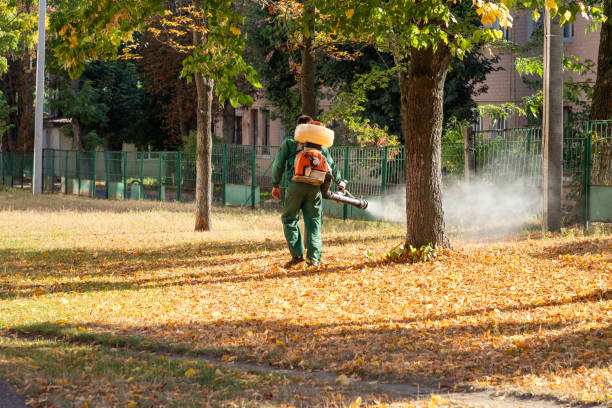 Wasp Removal Services in Cedarburg, WI