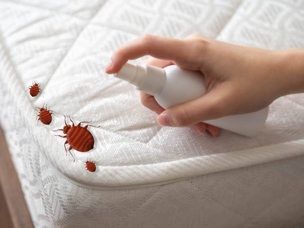 Best Best Pest Control Companies  in Cedarburg, WI