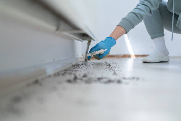 Best Pest Control for Restaurants  in Cedarburg, WI